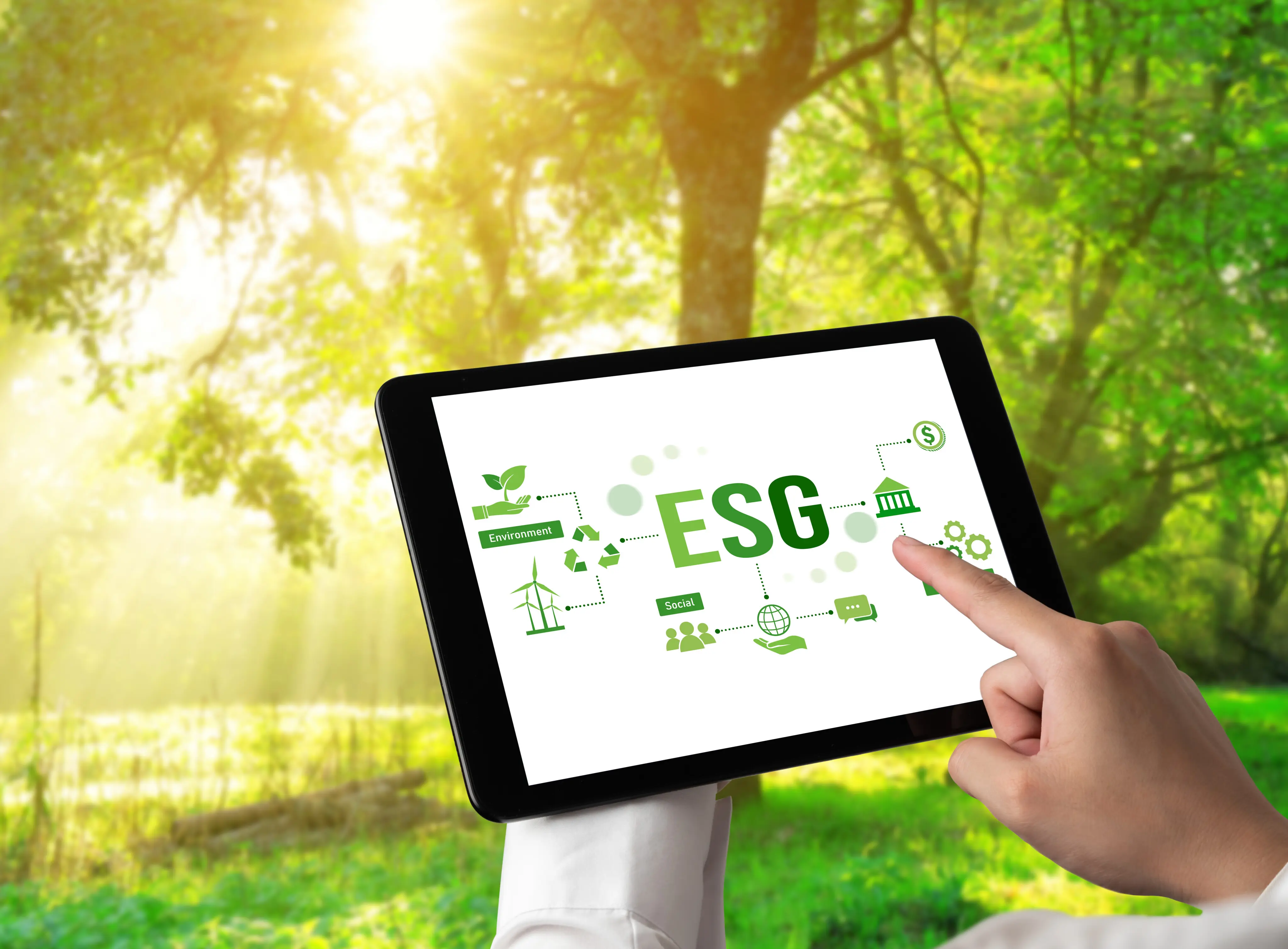 完成溫室氣體碳盤查報告書